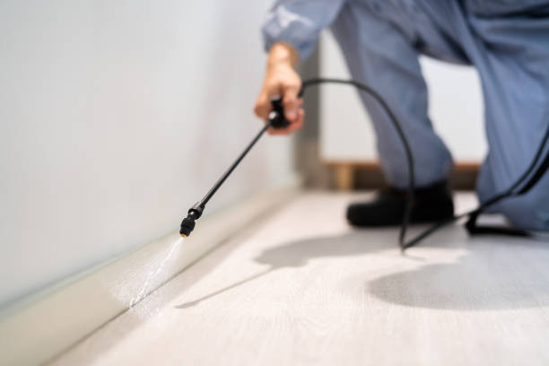 Licensed Pest Control service in Sissonville, WV - Show Me Pest Control