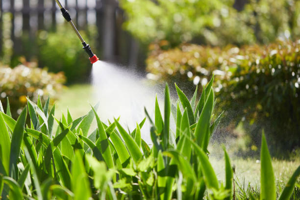Tamper-Resistant Bait Stations for Rodents in Sissonville
