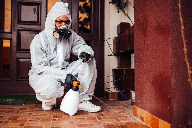 Attic and Crawl Space Rodent Treatment in Sissonville
