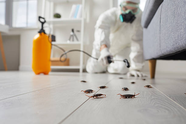 Commercial Rodent Management in Sissonville